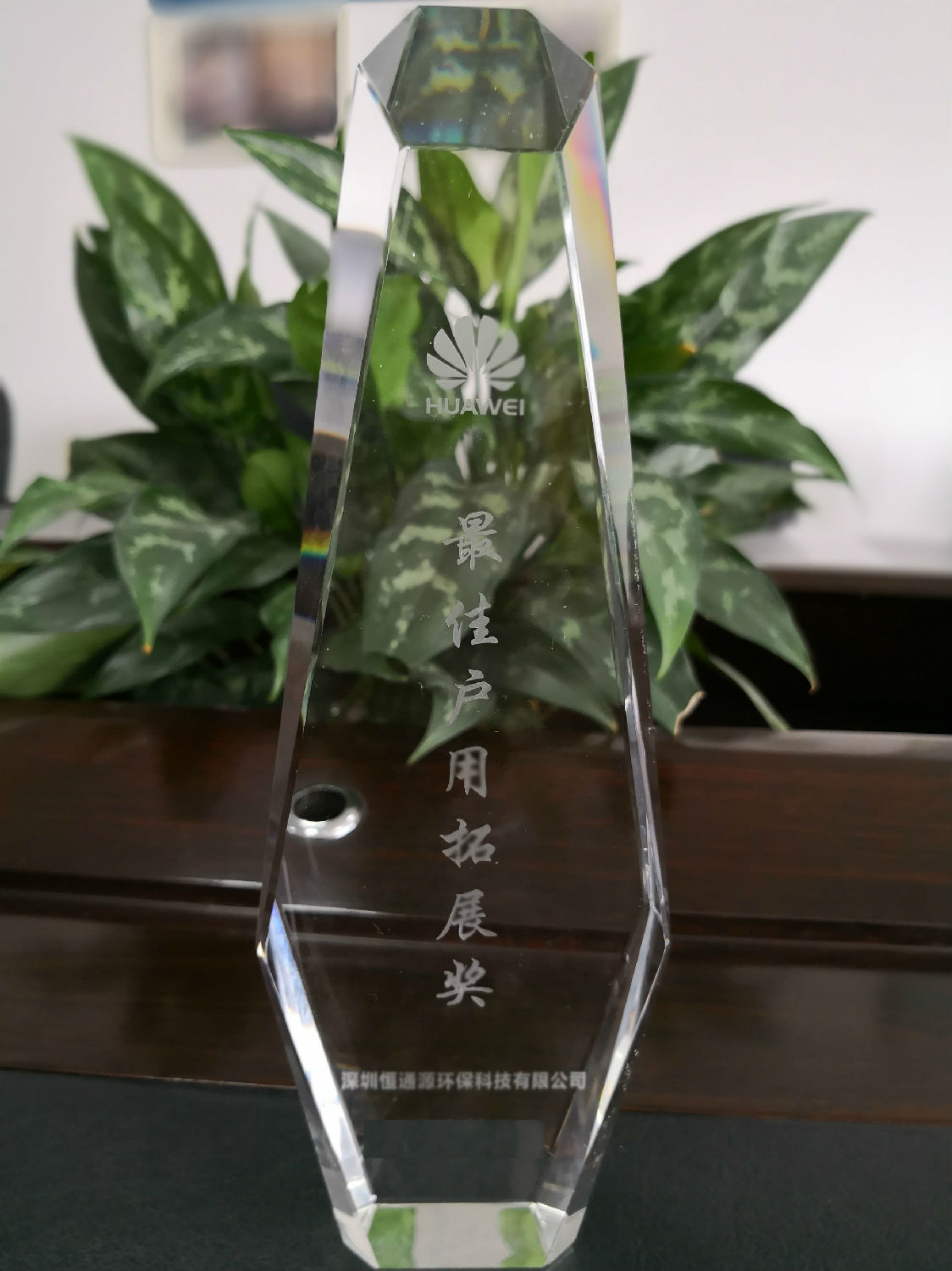 最佳戶用拓展獎(jiǎng).jpg 最佳戶用拓展獎(jiǎng).jpg